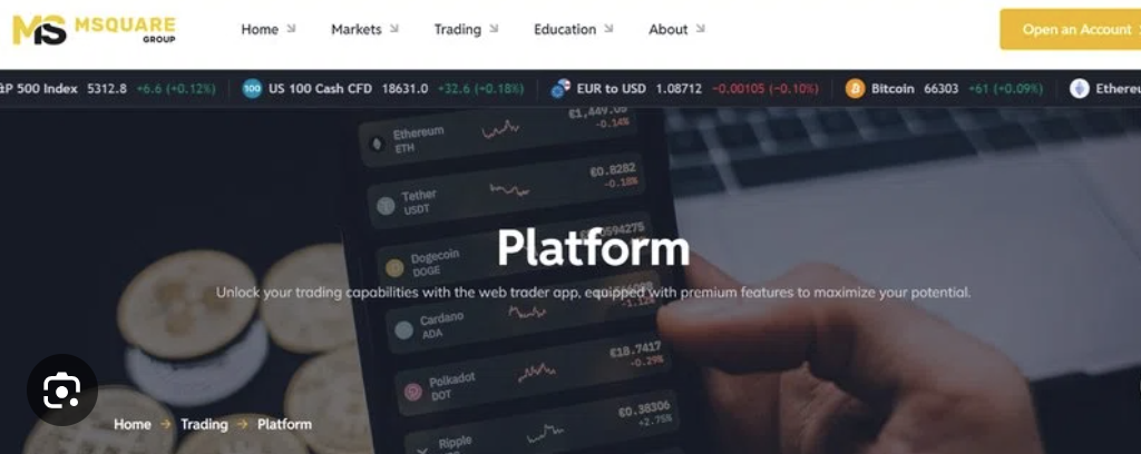 Navigating the World of Forex: A Detailed Review of Msquarefx.net